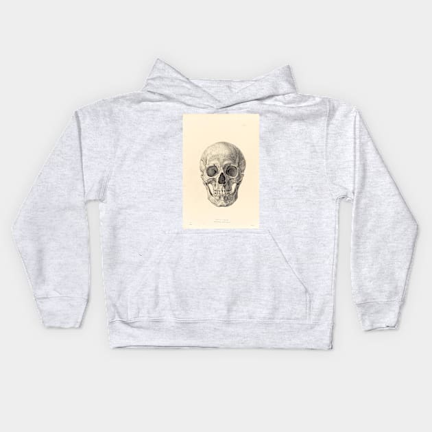 Vintage Skull Drawing Kids Hoodie by picsoncotton